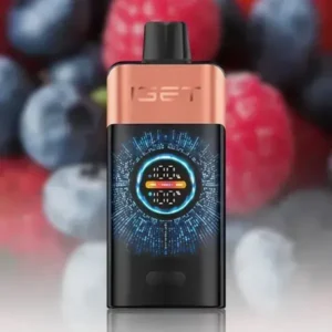 IGET One 12000 Puffs Blueberry Raspberry