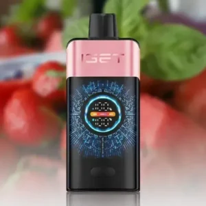 IGET One 12000 Puffs Strawberry Watermelon Ice